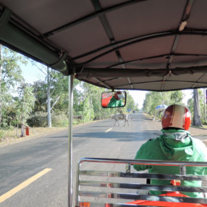 サンボープレイクックへ向かいます